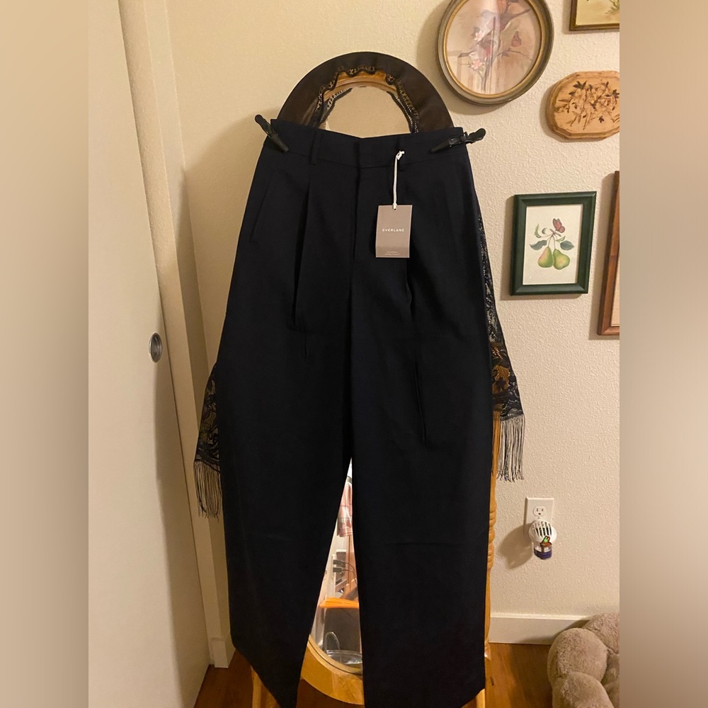 Everlane Way High Drape Italian Wool Pant